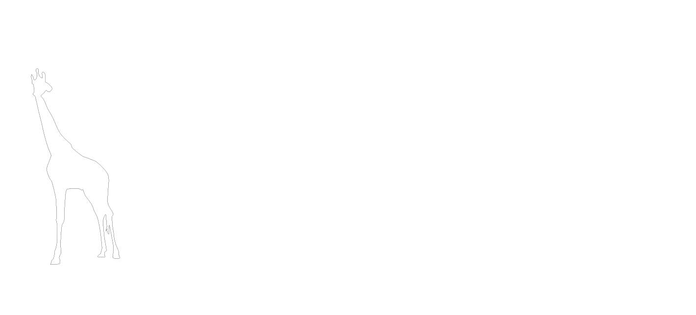 Timeless Dream Travels